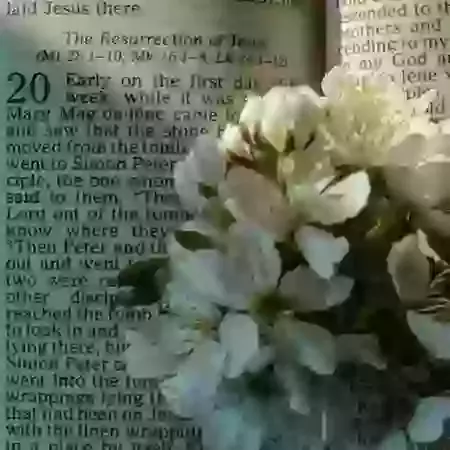 Funerals